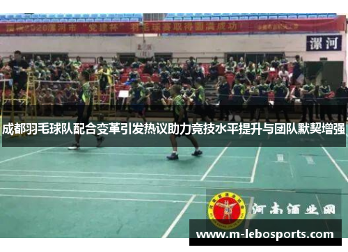成都羽毛球队配合变革引发热议助力竞技水平提升与团队默契增强